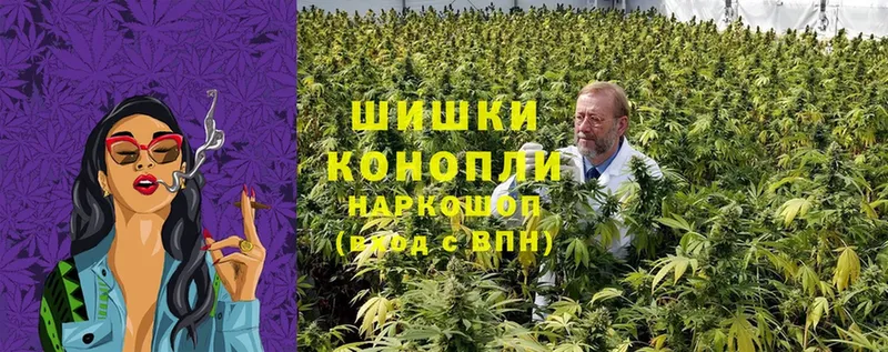 дарнет шоп  Болохово  Канабис OG Kush 